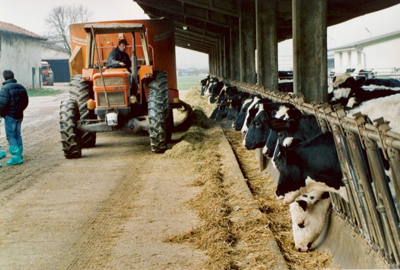 Contributi ai Comuni per le strutture che ospitano i lavoratori stagionali nelle aziende agricole